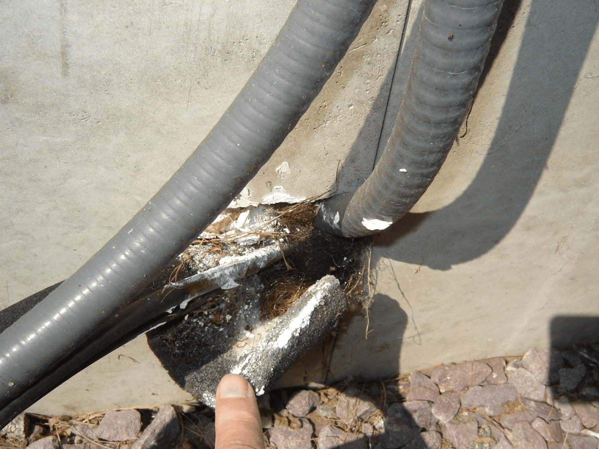 sealing mouse entry points exterior home