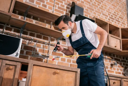Professional pest control technician