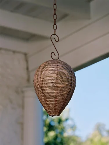 A Simple Trick That Repels Wasps