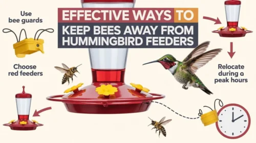 Avoid These Dangerous Mistakes